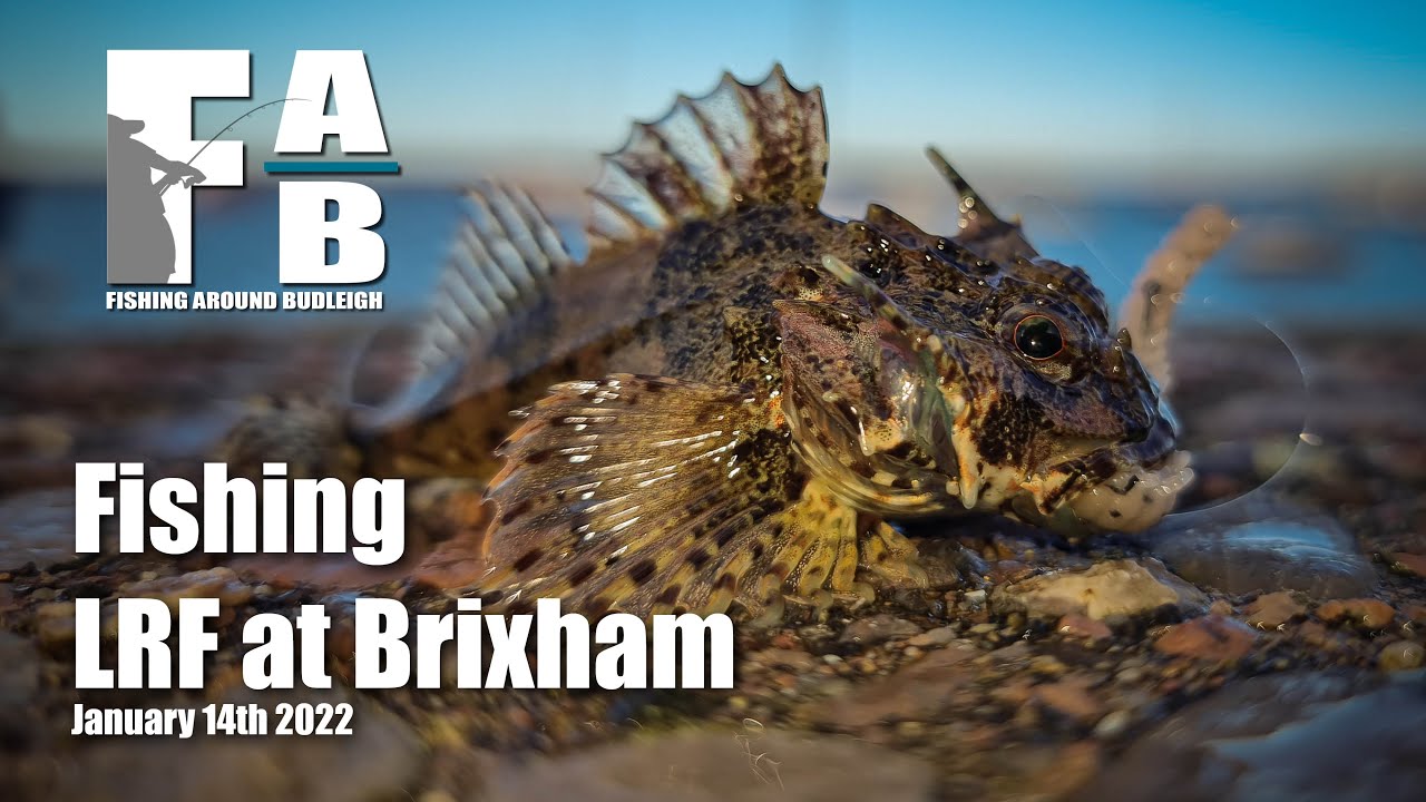 LRF Fishing at Brixham - January 14th 2022