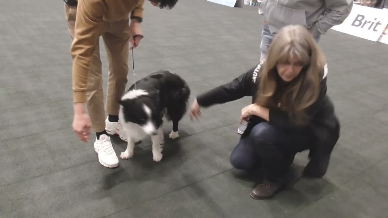 132 Grifty Boy from Zafa Flame