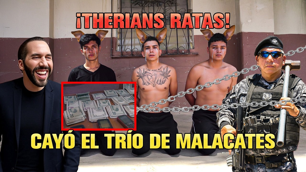 🚨🔥 CAYÓ EL TRÍO DE MALACATES QUE SE HACÍAN LOS ANGELITOS 🚨🔥