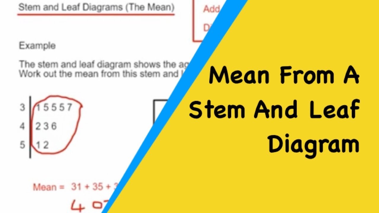 Stem And Leaf Diagrams. Working Out The Mean Average From A Stem And Leaf Diagram.