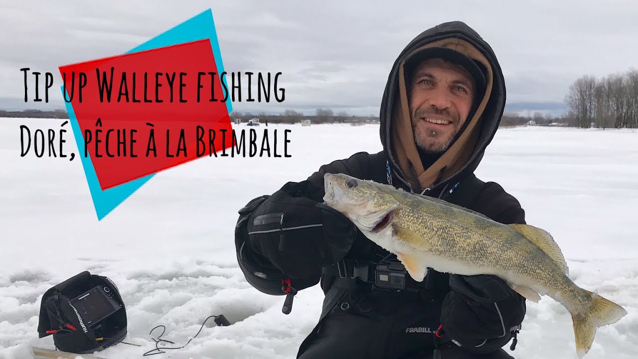 Windy Tip up Walleye ice Fishing in Sorel / Pêche au Doré jaune à la Brimbale