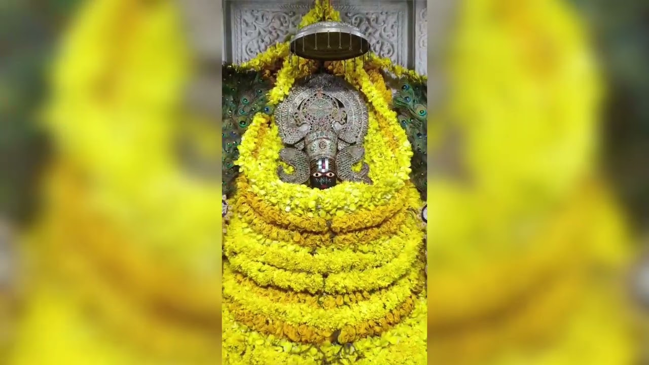 🙏🌹🥀🚩JAI SHREE SHYAM🌹JAI SHREE KRISHNA🥀JAI SHREE GANESH🚩JAI SHREE RADHE🌹JAI SHREE LADDU GOPAL JI🚩🥀🌹🙏