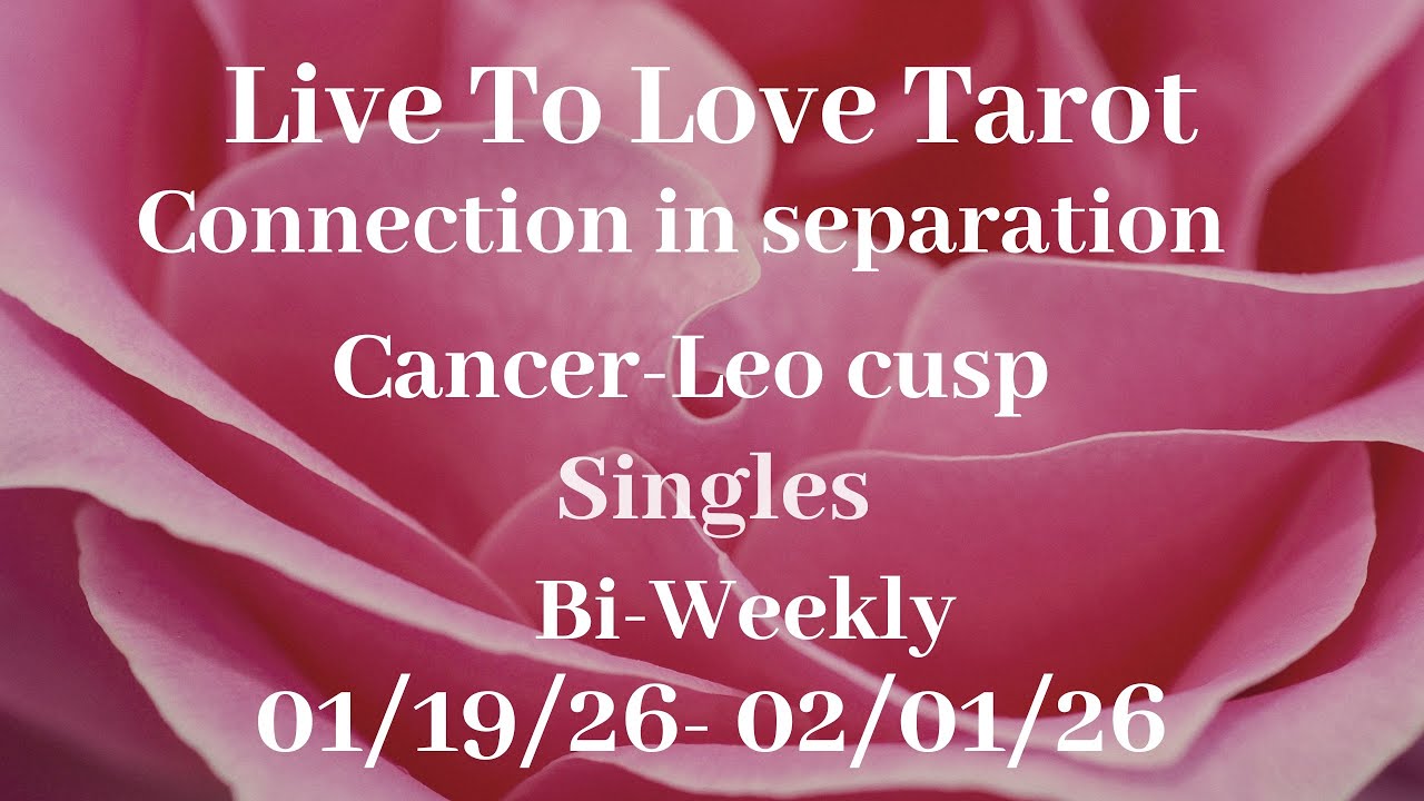 ♋️ Рак ♌️ Лев любит читать о любви💗Они понимают, что совершили ошибку💗