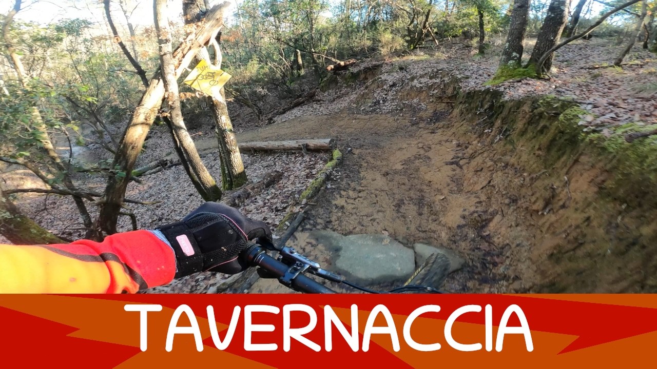MTB Roveta 21.02.2026 sentiero TAVERNACCIA