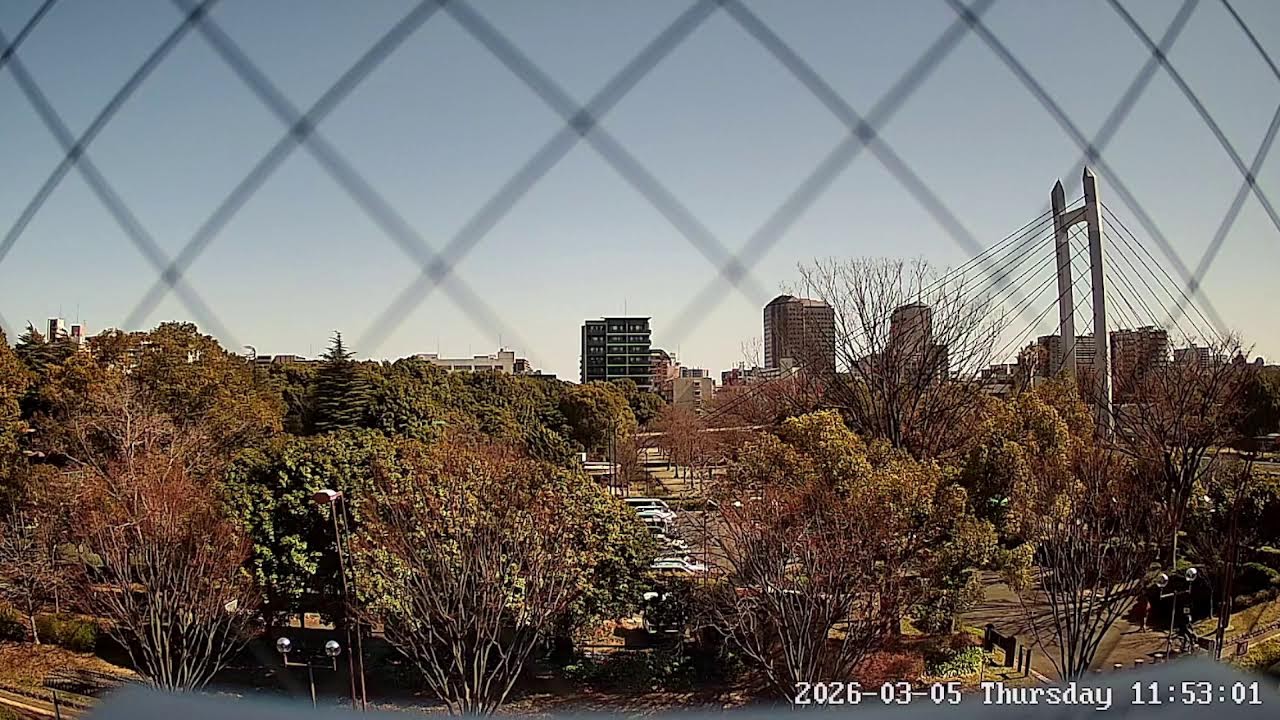 東京都江東区平野ライブカメラ Tokyo Koto Live camera.world.cam