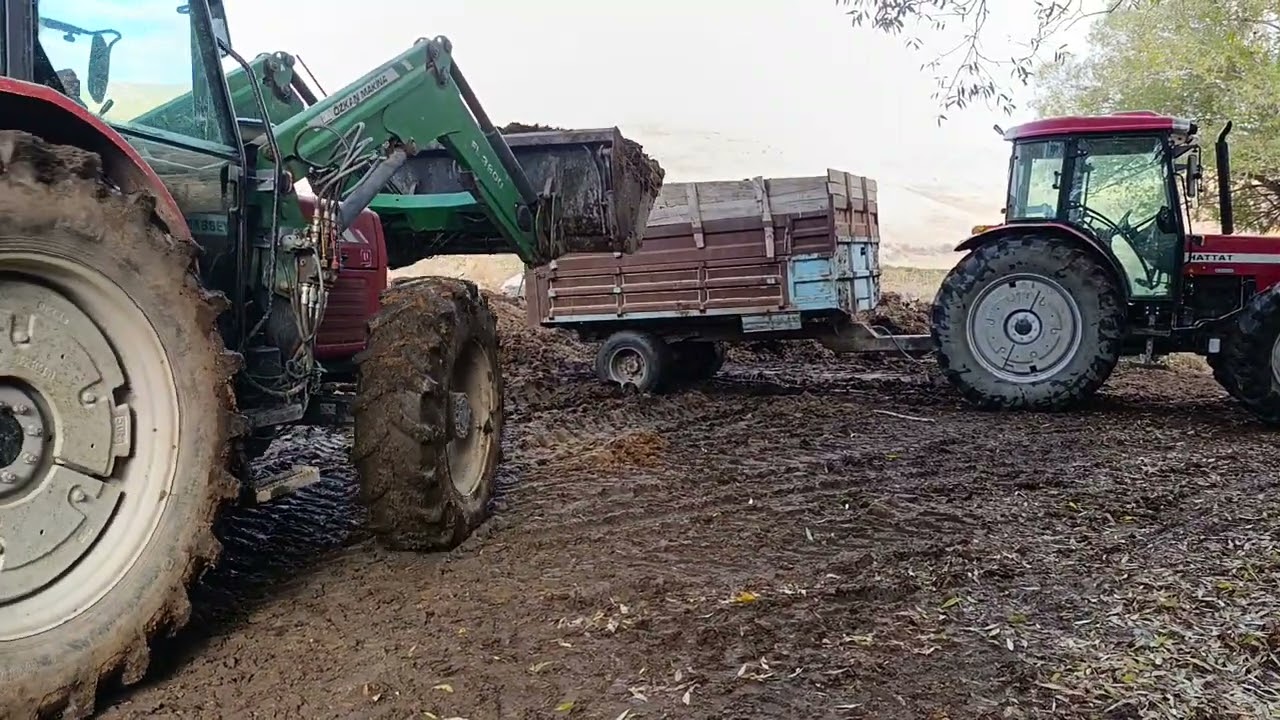MF 3105 Özkan makina kepçe ve 398 hattat