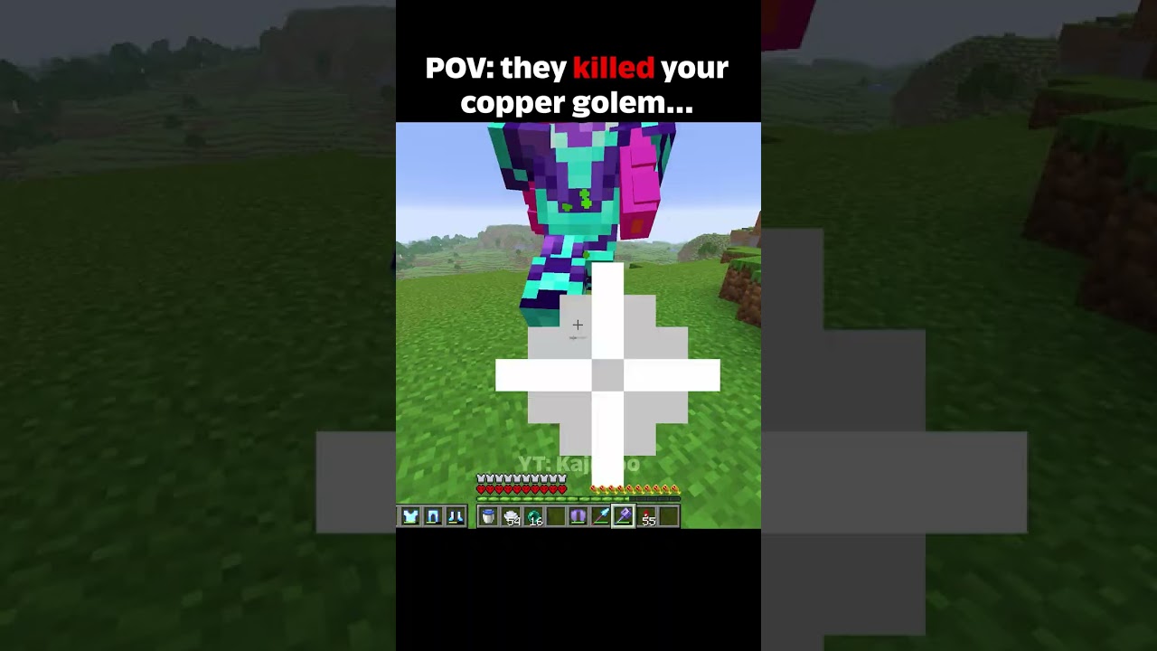 POV they killed your copper golem&hellip; #usa