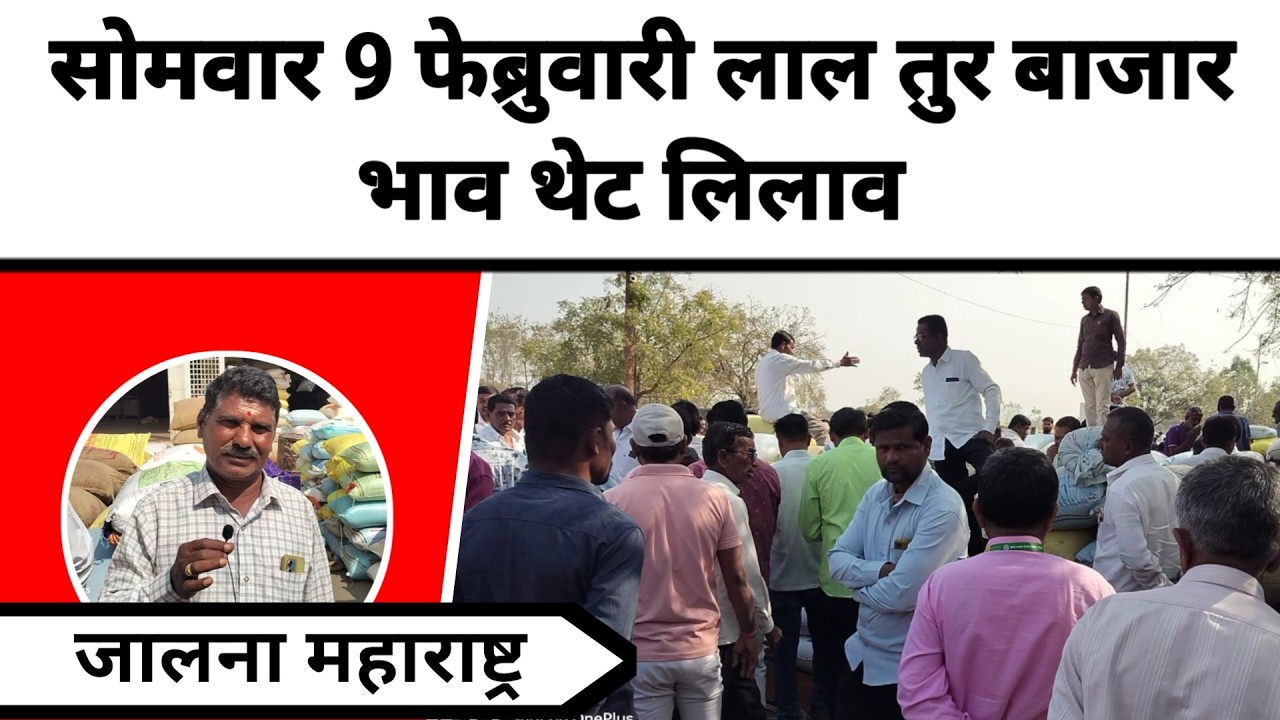 सोमवार 9 फेब्रुवारी लाल तुर बाजार भाव थेट लिलाव जालना महाराष्ट्र || लाल तुरीला काय मिळतो भाव