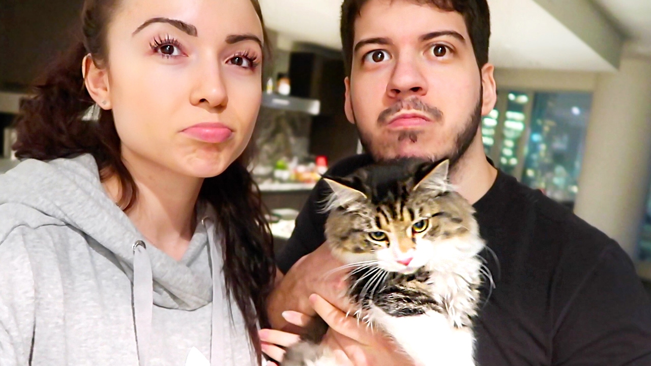 OUR KITTEN IS SICK