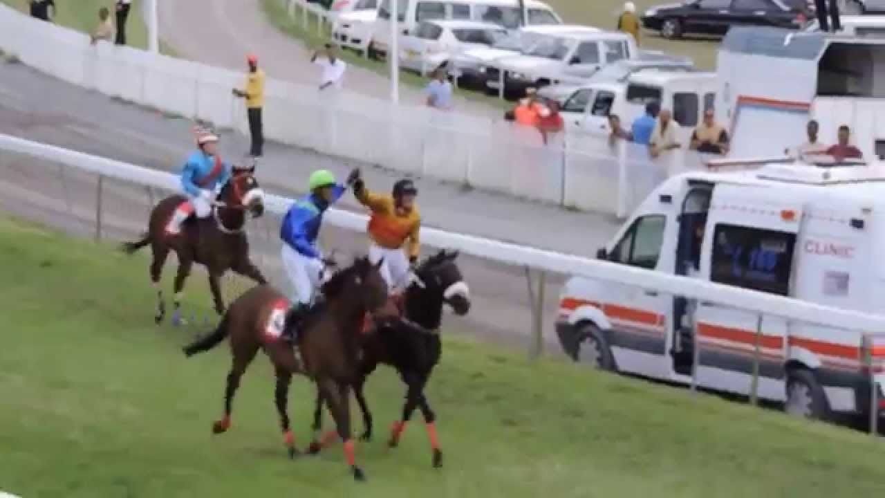 Coupe  D'or 2015