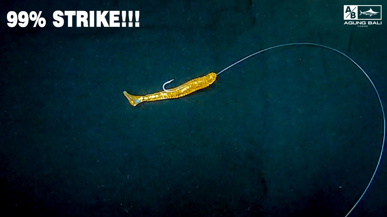 99% strike!!! membuat rangkaian carolina rig dengan umpan softlure untuk mancing pinggiran