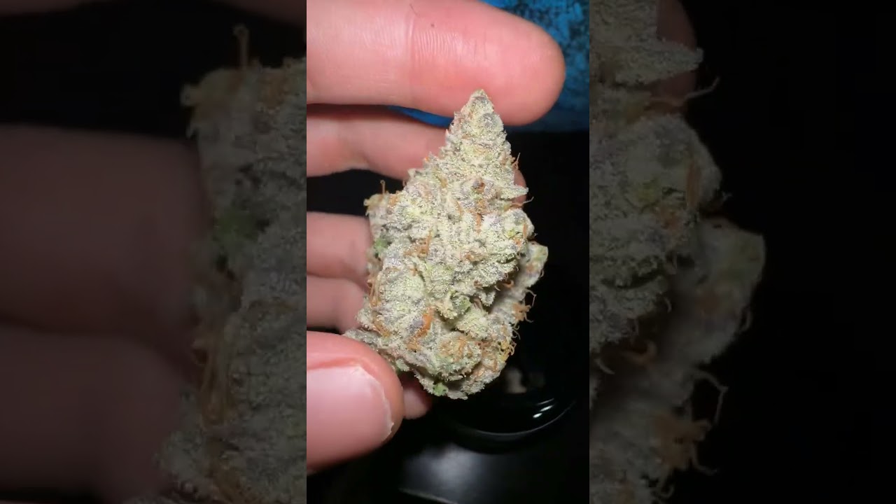 710 Labs Cake Crasher! #710labs #Flower #thc #toptier