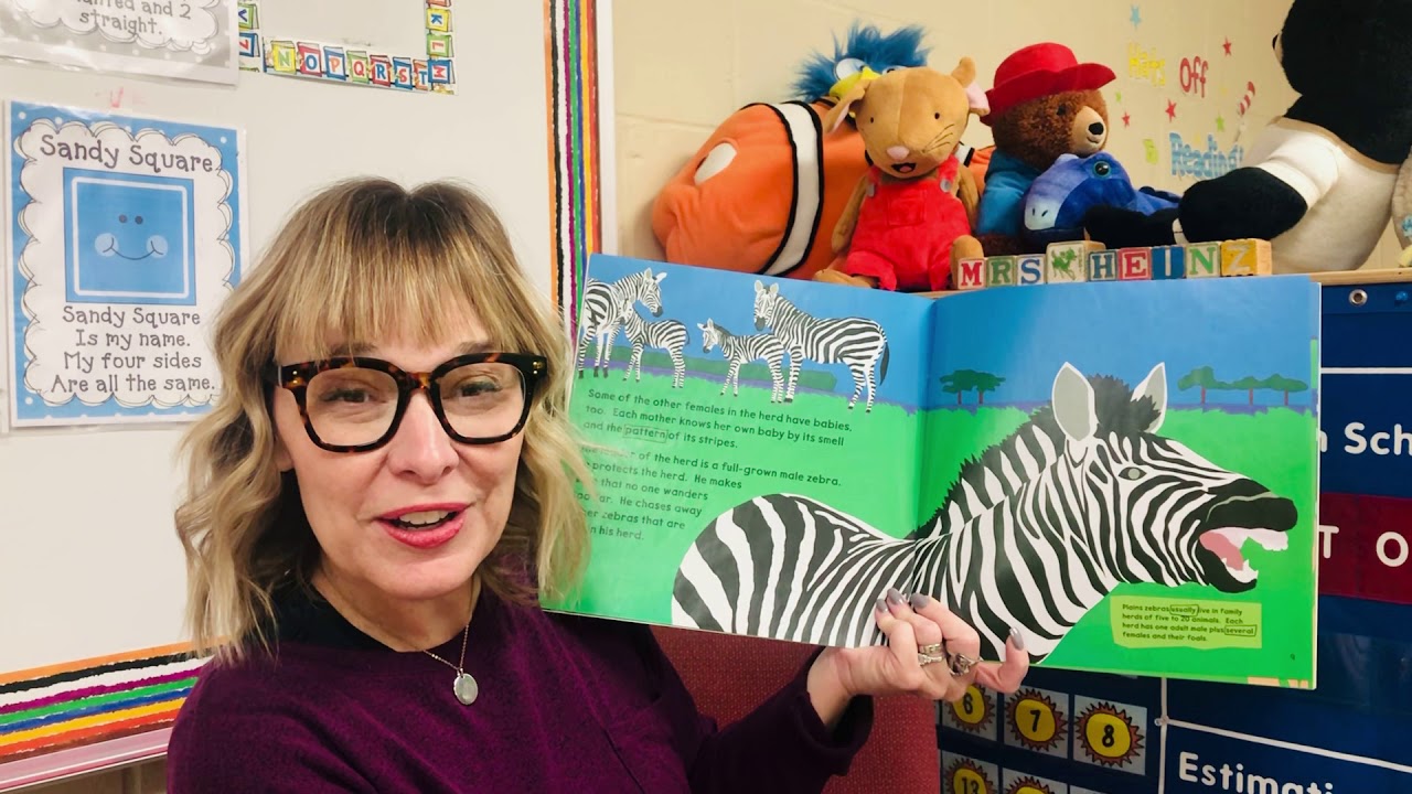 Read Aloud, A Zebras World