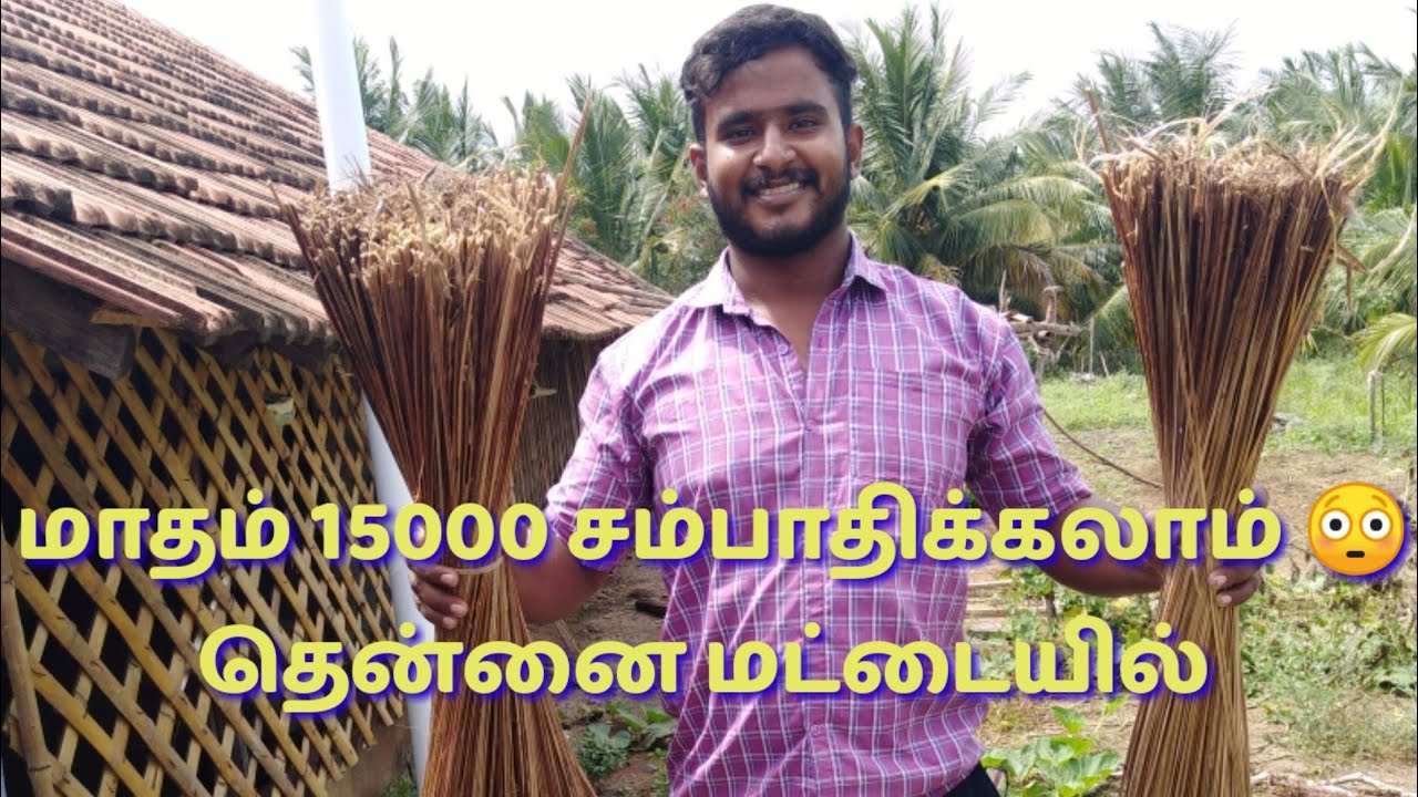 தென்னை மட்டையில் இவ்ளோ லாபமா!