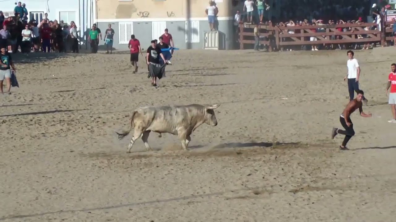 Largadas e Esperas de Touros Feira de Outubro 2023-Vila Franca de Xira