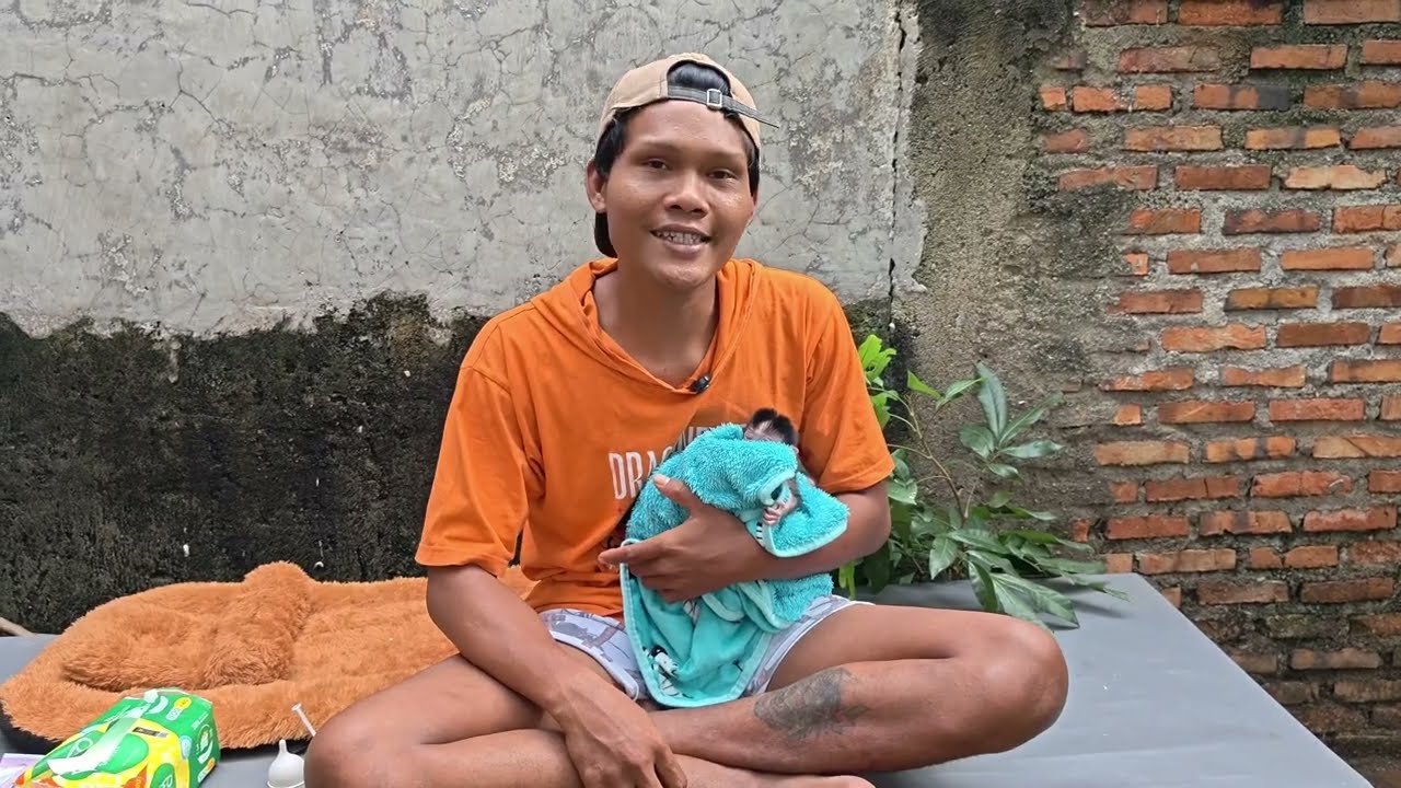 THIS IS HOW I CARE FOR MY 4-DAY-OLD BABY MONKEY 