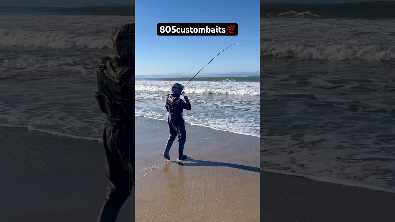Back on the surf! #surfishing #fishing #perchfishing #socal #fish #outdoors #ocean #shorelinefishing