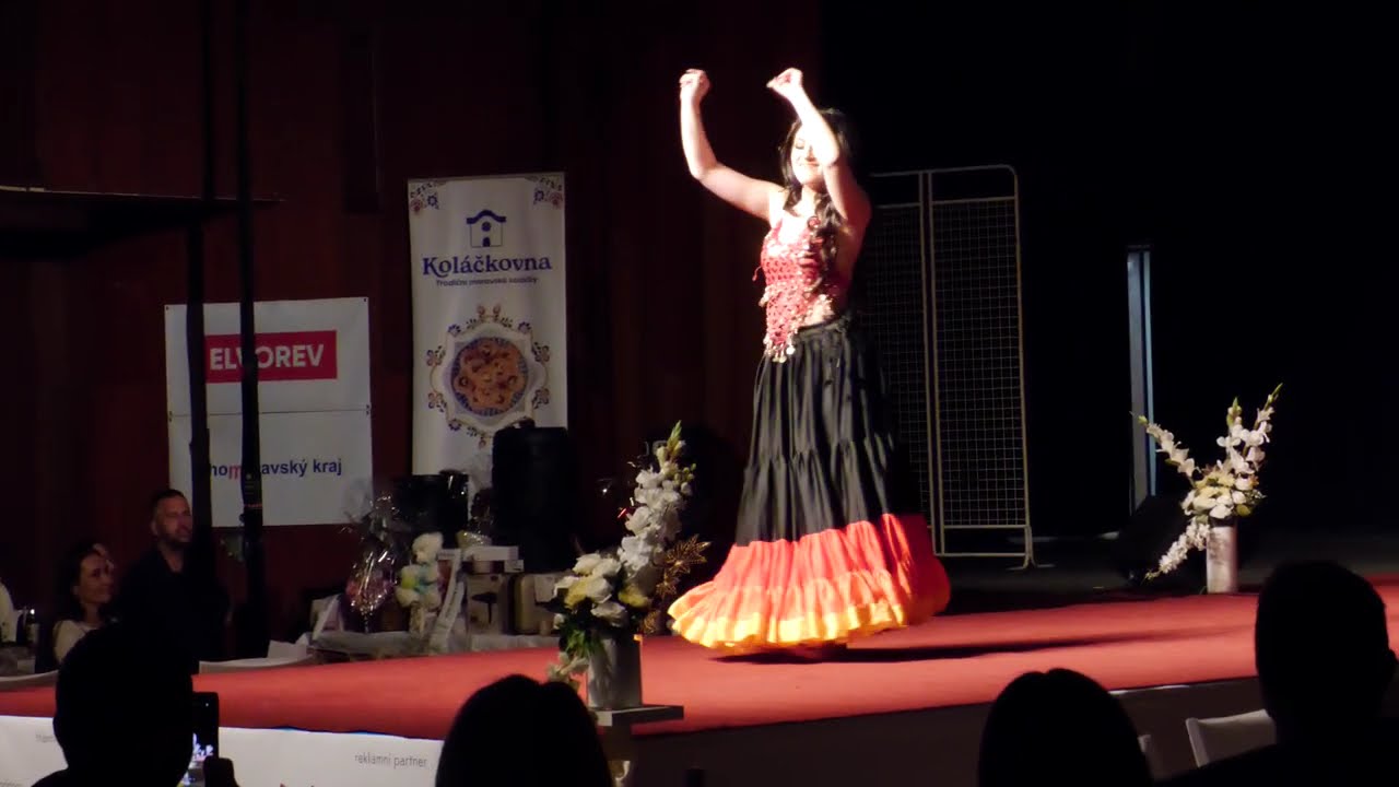 HODONÍN-ČESKO-SLOVENSKÁ MISS ROMA 2025, 27.ročník soutěže pro romské dívky (11.)