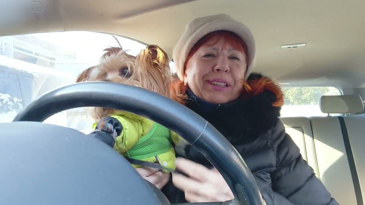 Омлет на пару !🫕На ужин !🥗 Опять весна !🌞#покупкидлякухнипецепты