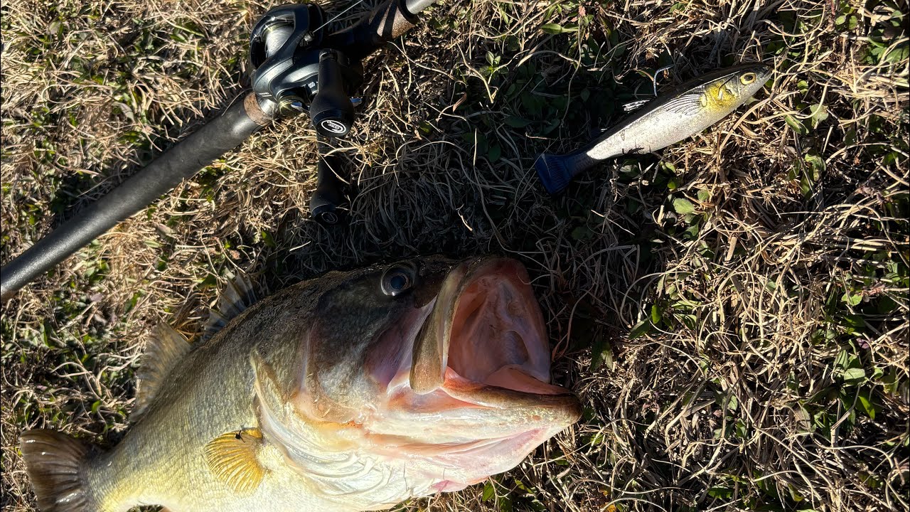 FISHING FLORIDA CRAZY COLD FRONT FOR GIANT BASS !!