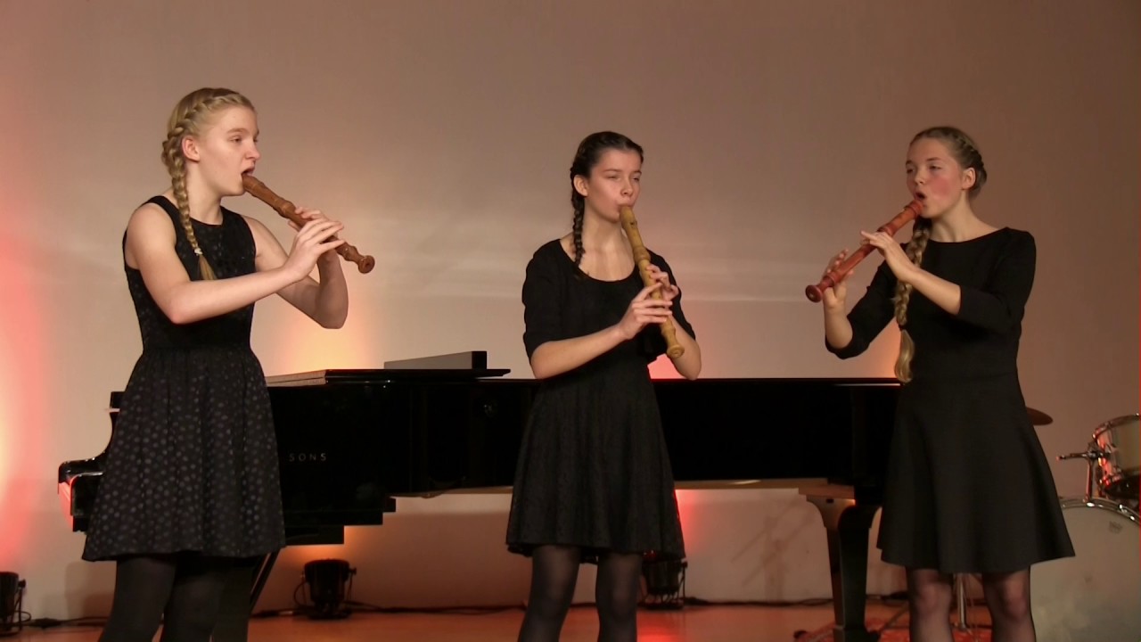 Johann Mattheson - Sonata Nr. 4, Op. 1 Nr. 3 Prelude (Adagio, Allegro), Chaconne