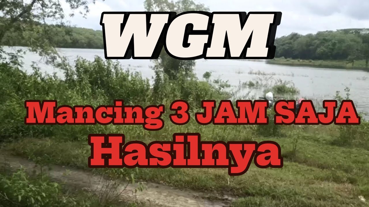 WGM terbaru || PANEN BABON NILA ‼️Mancing nyobok di Waduk Gajah Mungkur❗#mancing #fishing #fish