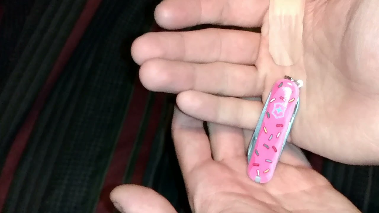 Kizer Sheepdog Mini Vs Kizer Sheepdog