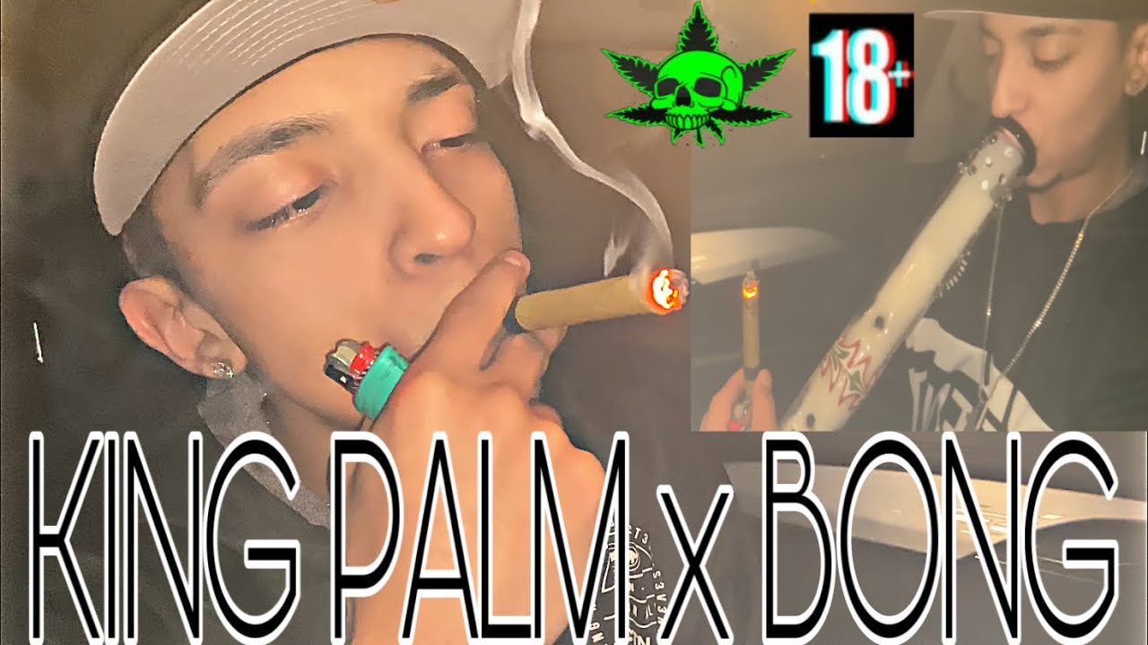 KING PALM XL BONG RIPS! | BANGERBOX 🔥🥵