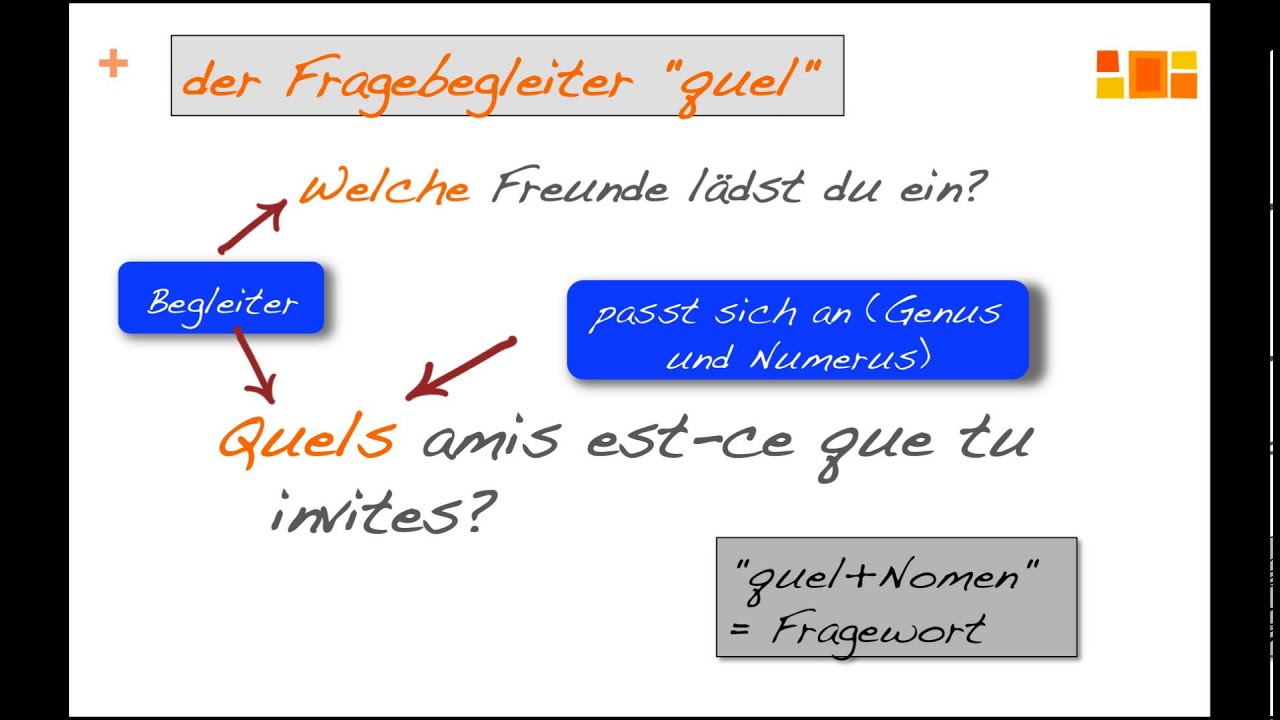 der Fragebegleiter 