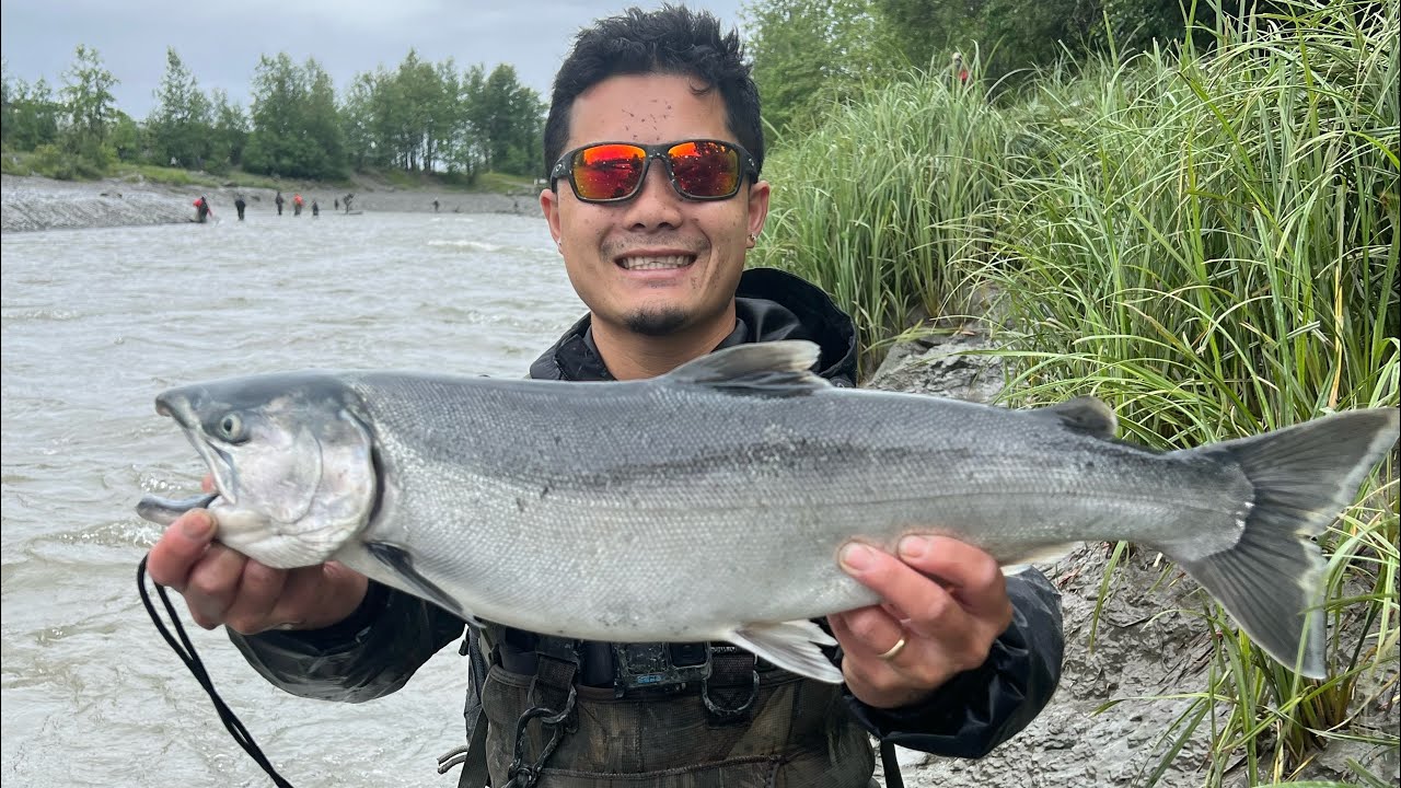 Non-stop action at Ship creek! ( Caught my first Coho salmon of 2023 )
