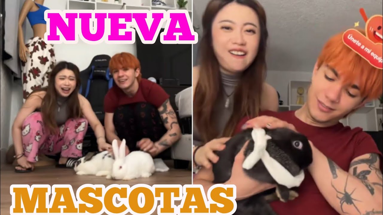 LIVE de CARLOS ALBERTO FUENTES CONSIGUE OCHO CONEJOS  🇺🇸 27/02/2025 #carlhoos_ #tiktok