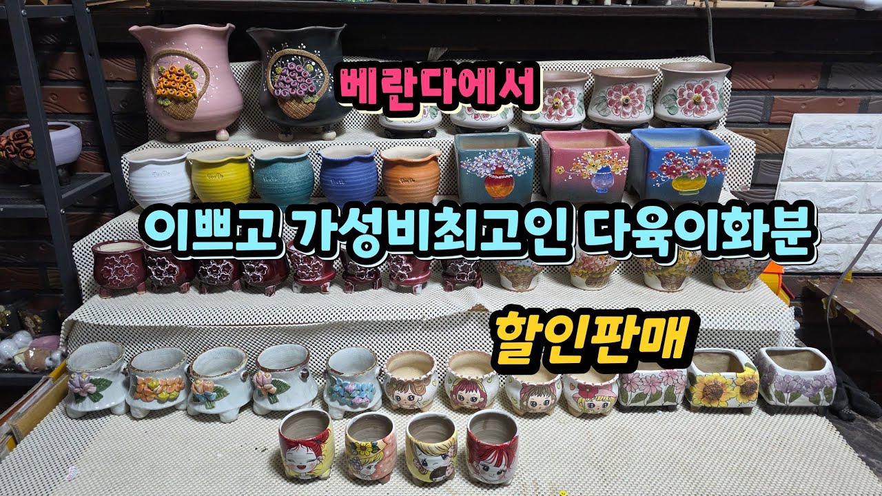 2월 27일 이쁘고 가성비최고 할인판매 