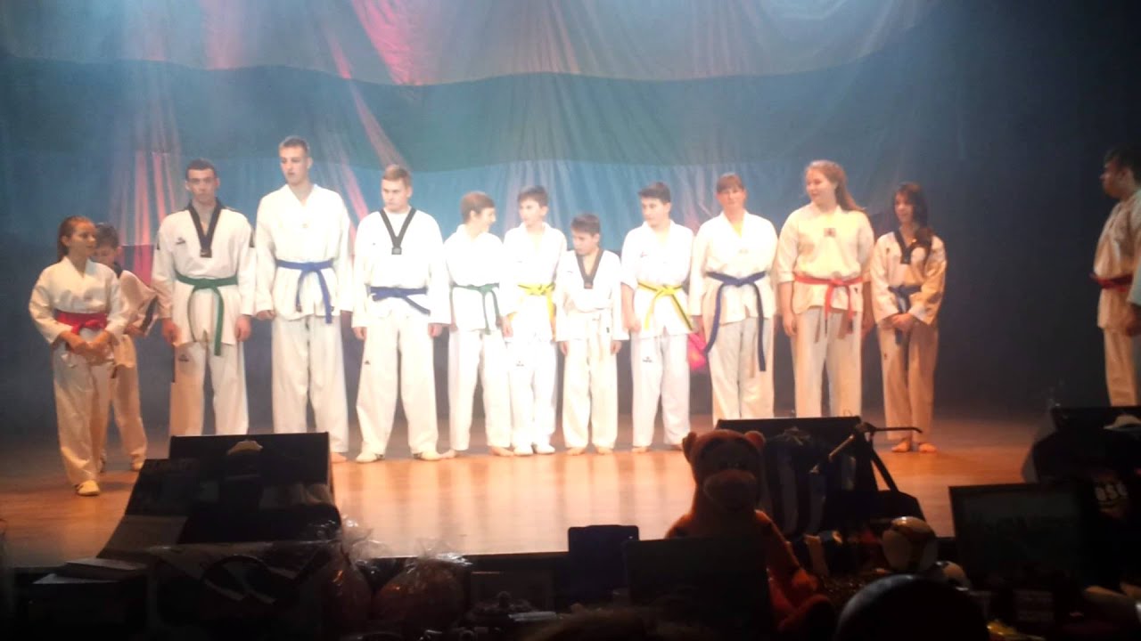Pokaz taekwondo Krasnystaw