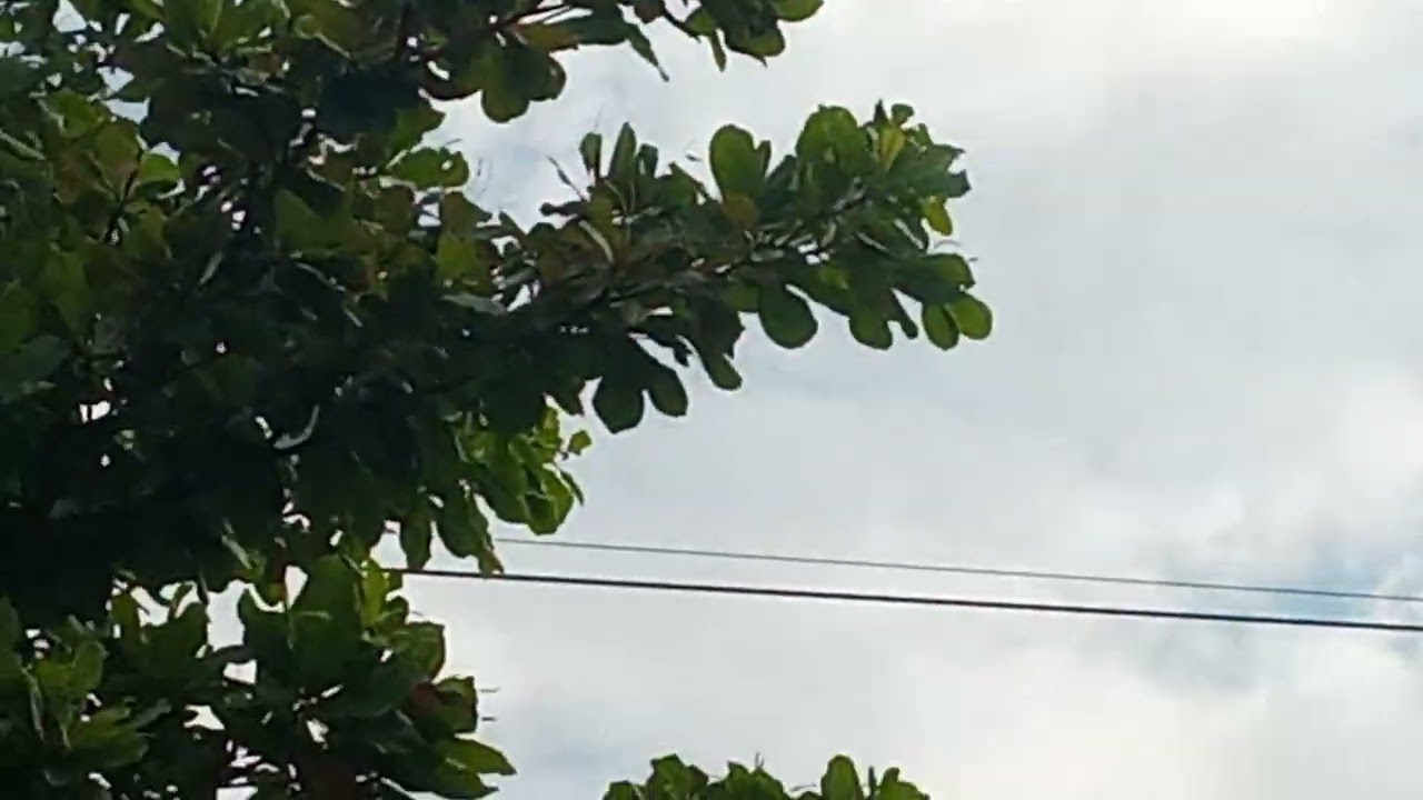 Vuelo LA4389 A320 LATAM procedente de Bogotá SKBO BOG aterrizó a las 9:05 am en Ibagué 