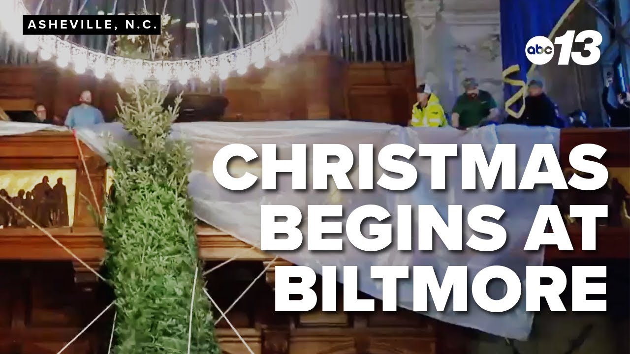 Christmas tree raising at Biltmore Estate