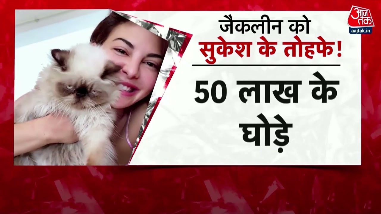 ठगी मामले में Jacqueline Fernandez से 9 घंटे हुई पूछताछ | Sukesh Chandrasekhar