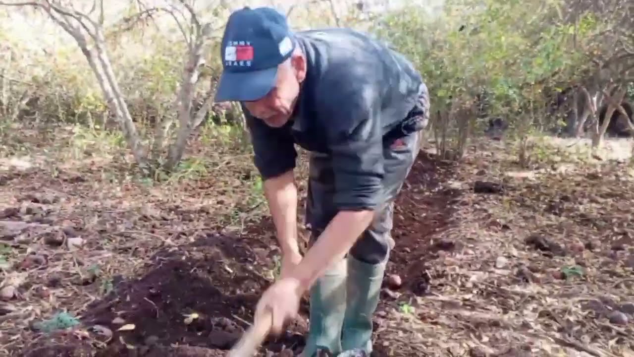 عمي حماد زرع زوج فولات ݣلب عليهم الدوار بلغوات (الموت ديال الضحك 🤣)