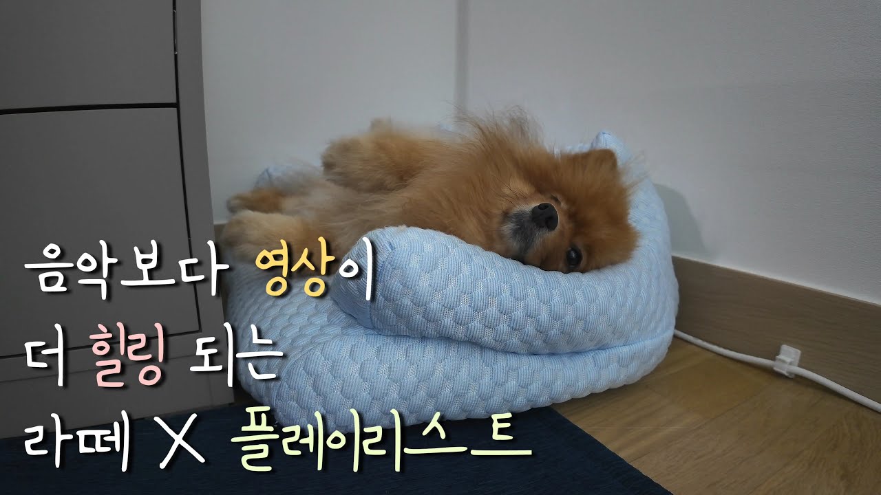 [𝘱𝘭𝘢𝘺𝘭𝘪𝘴𝘵] 눈과 귀가 모두 힐링되는 잔잔한 선율의 클래식 플리