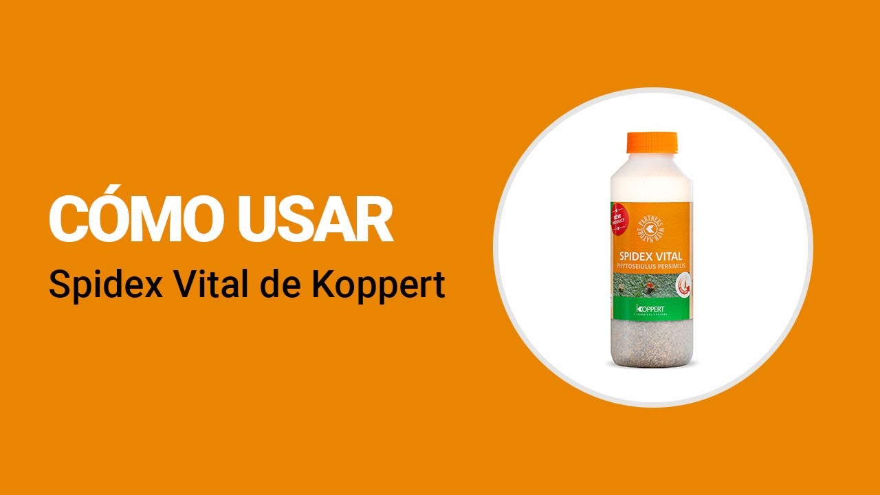 Cómo usar Spidex Vital de Koppert