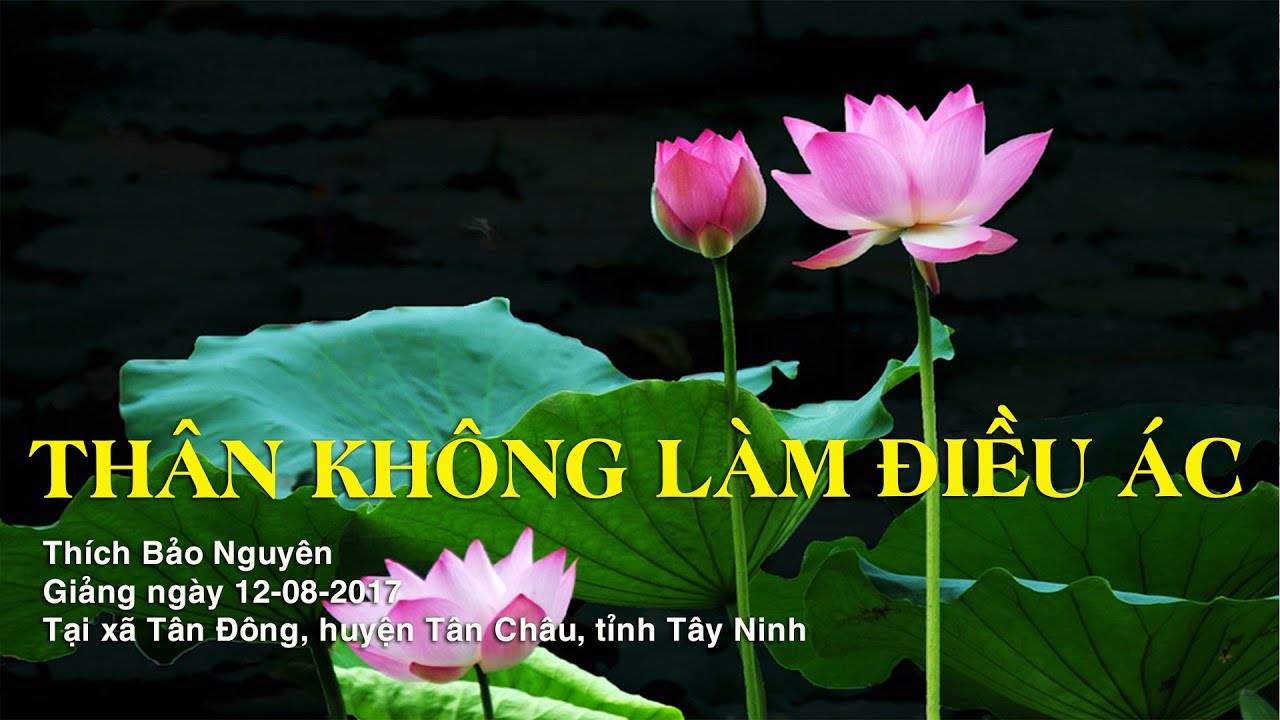 Thân Không Làm Điều Ác - Thích Bảo Nguyên