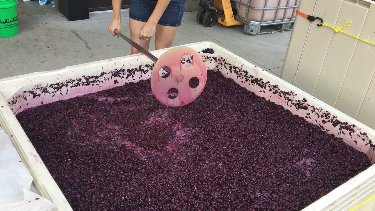 Red Wine Punch Downs