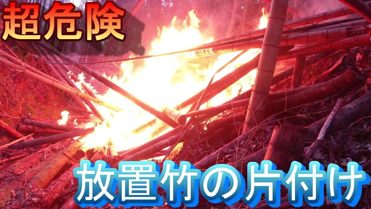 竹林整備【超危険　放置竹の片付け】（急斜面で放置した竹を片付ける・放置竹林・竹の子栽培）
