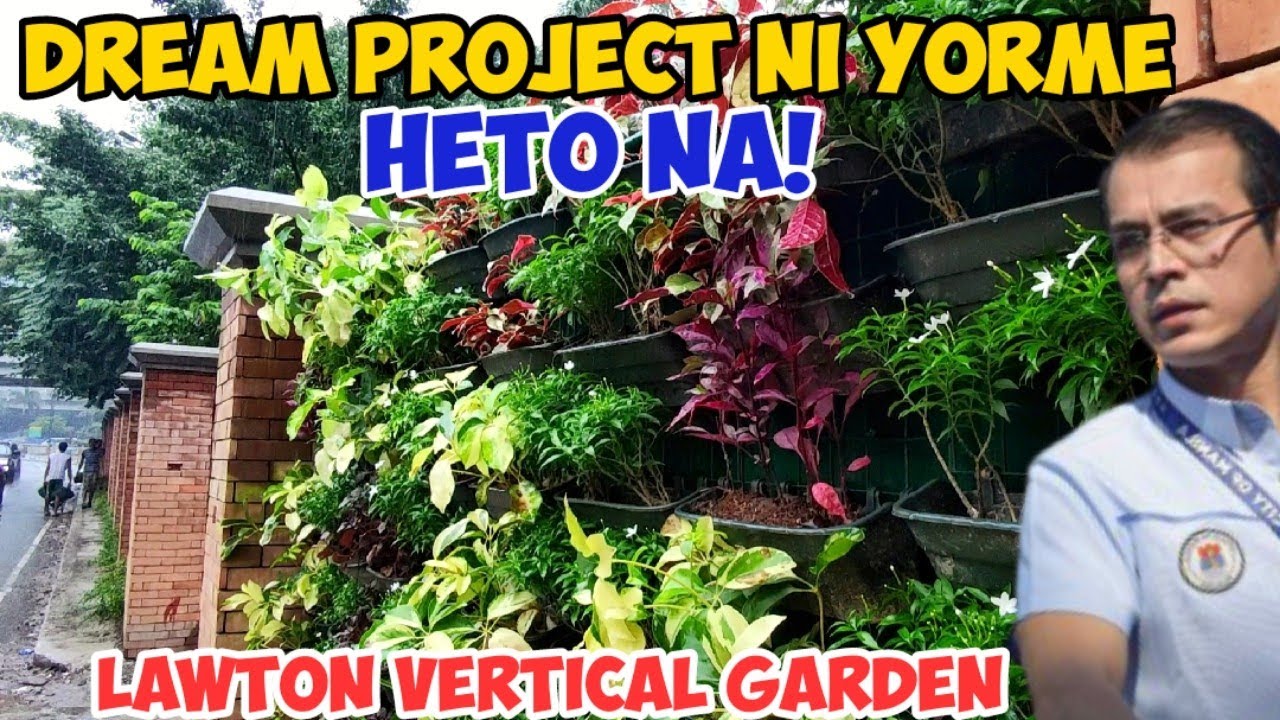 LAWTON VERTICAL GARDEN NAISABIT NA, MAYOR ISKO PROJECT