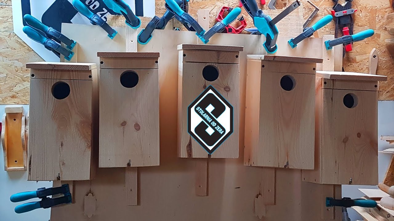 Jak zbudować budkę lęgową dla ptaków typu Sokołowskiego