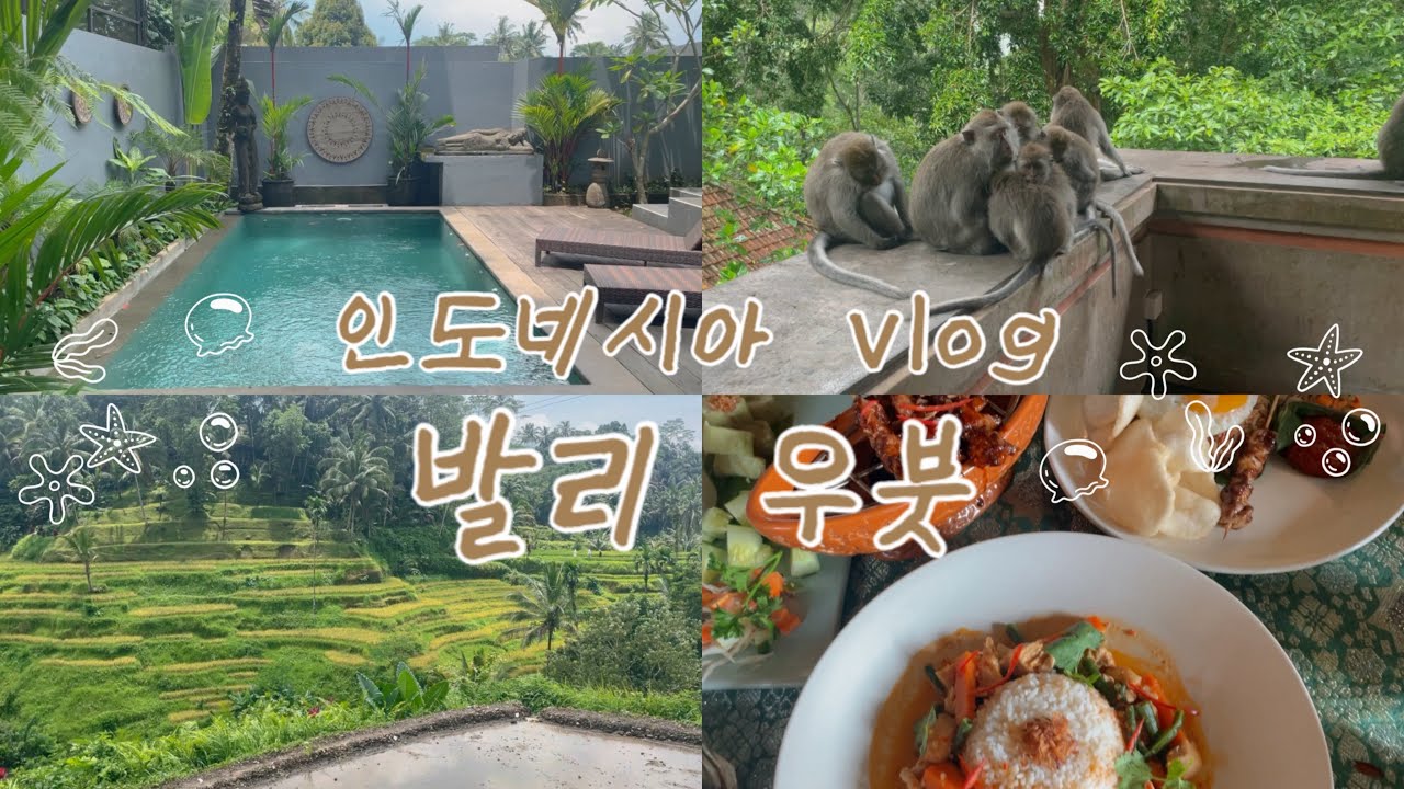 🇮🇩인도네시아 발리 여행🎶우붓, 몽키 포레스트, tamaki spa, pison, 티스 카페, 발리 여행🇮🇩