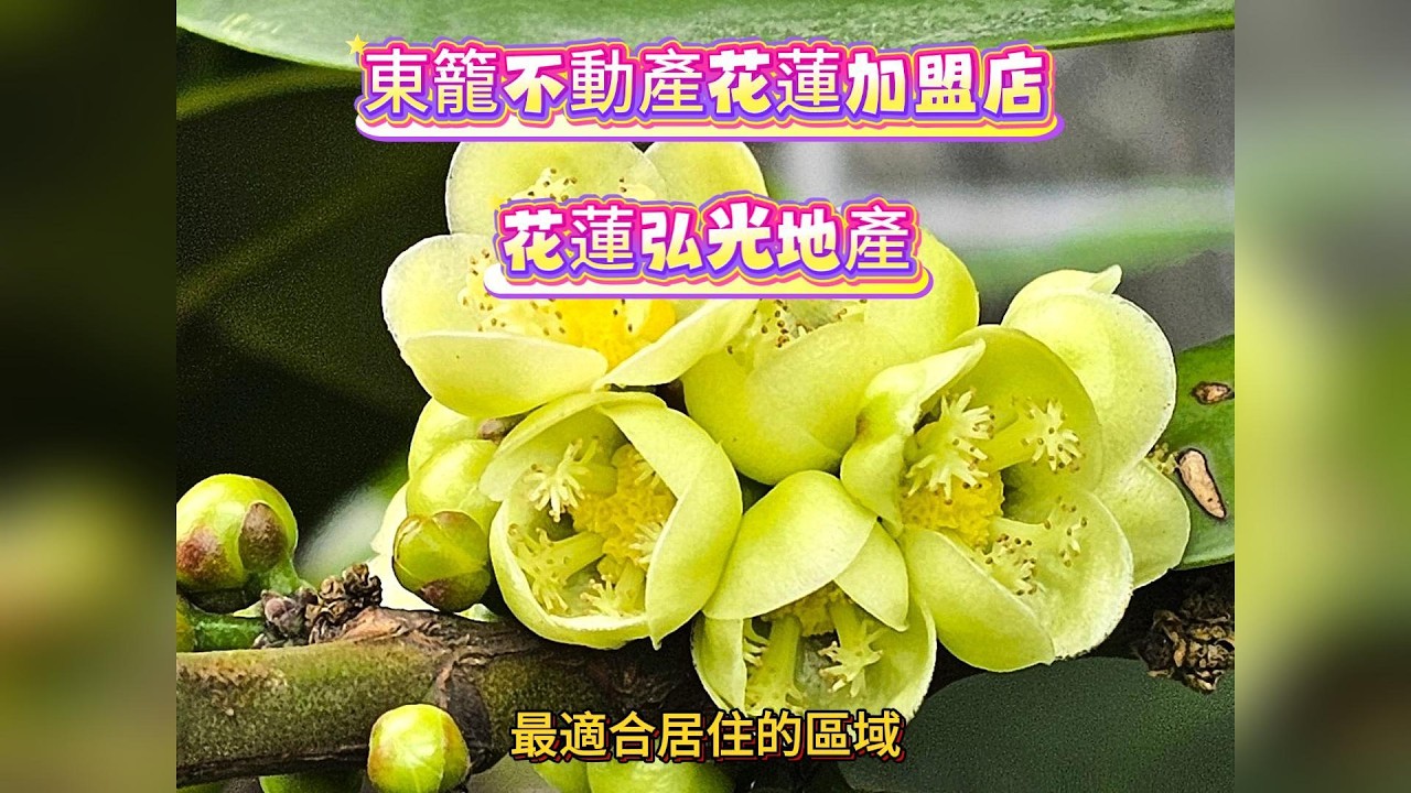 悠然自得╱花蓮壽豐