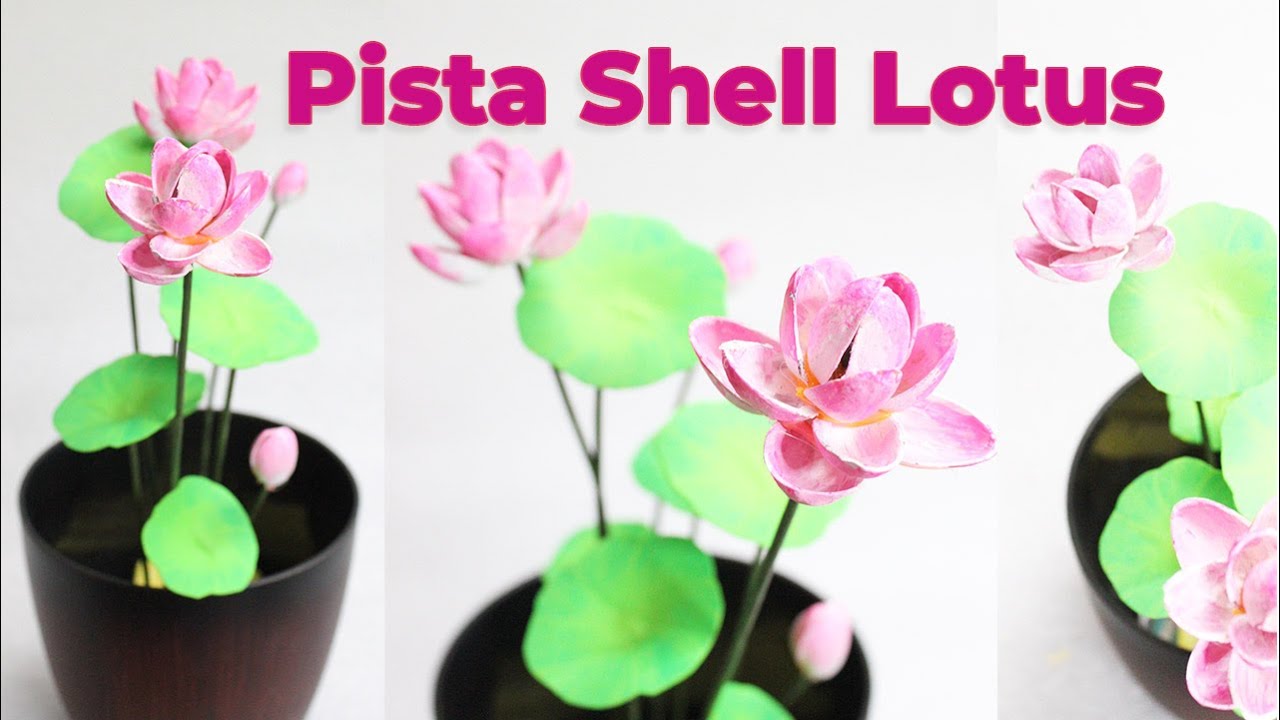 How to make Lotus flower using pista shell | Pista shell crafts | DIY crafts for home decor 2022