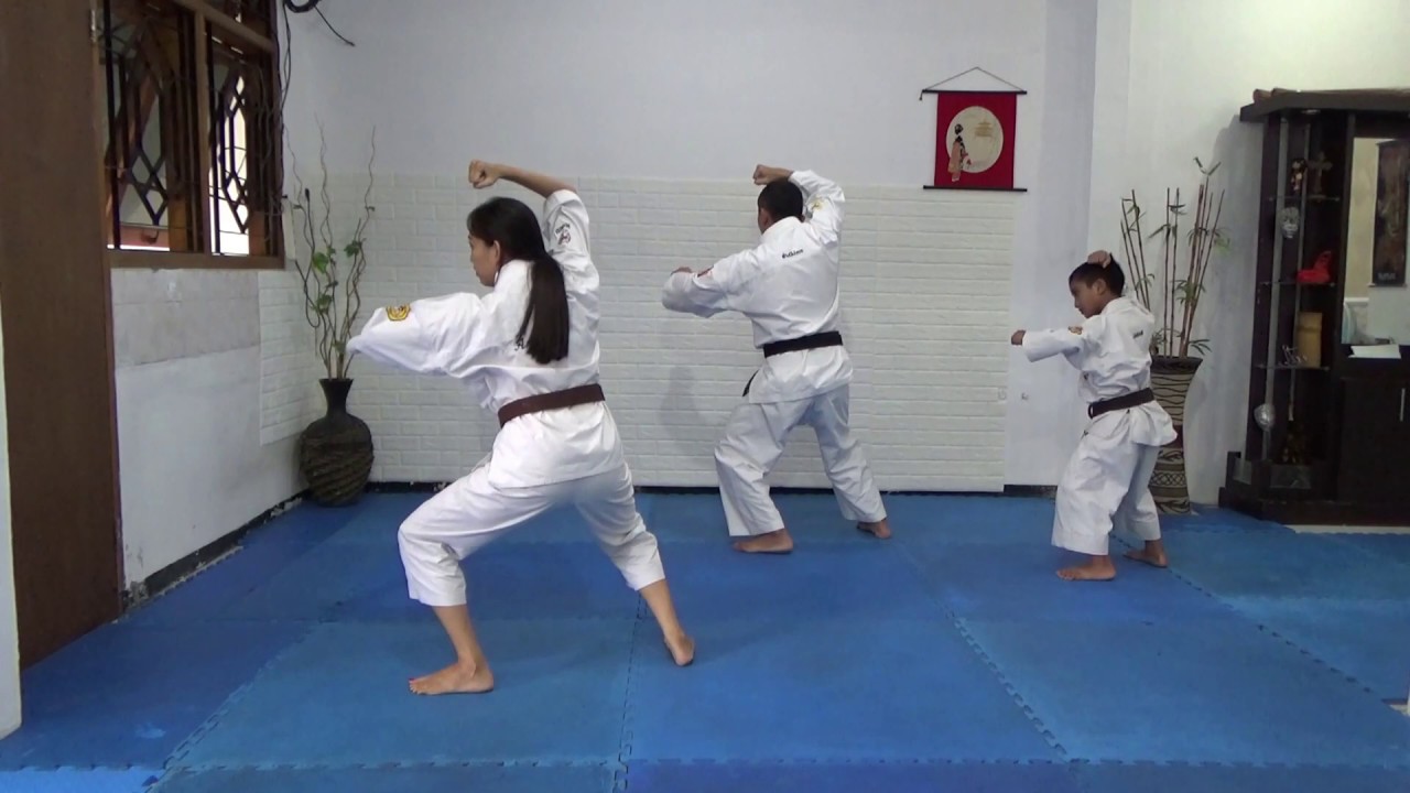 Shorinji Kempo - Ten Chi Ken II