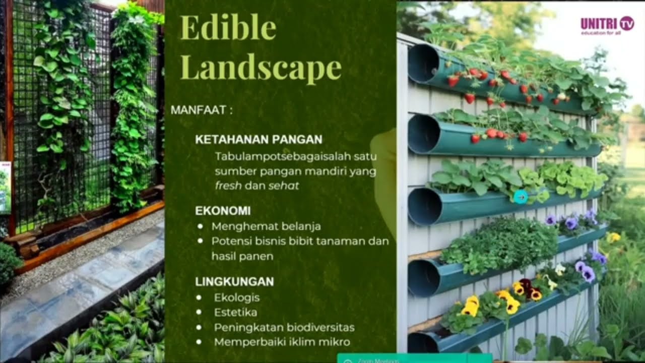 Edible Landscape ; Lanskap Pertanian Perkotaan oleh Anak Muda untuk Ketahanan Pangan