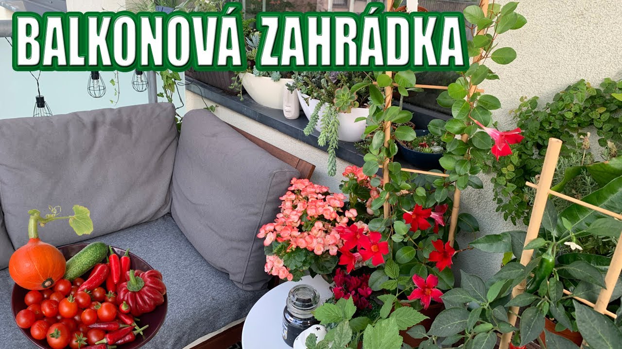 Balkonová zahrádka. Co pěstuju na balkoně? Pokojovky na balkoně. Tipy pro malý balkon.